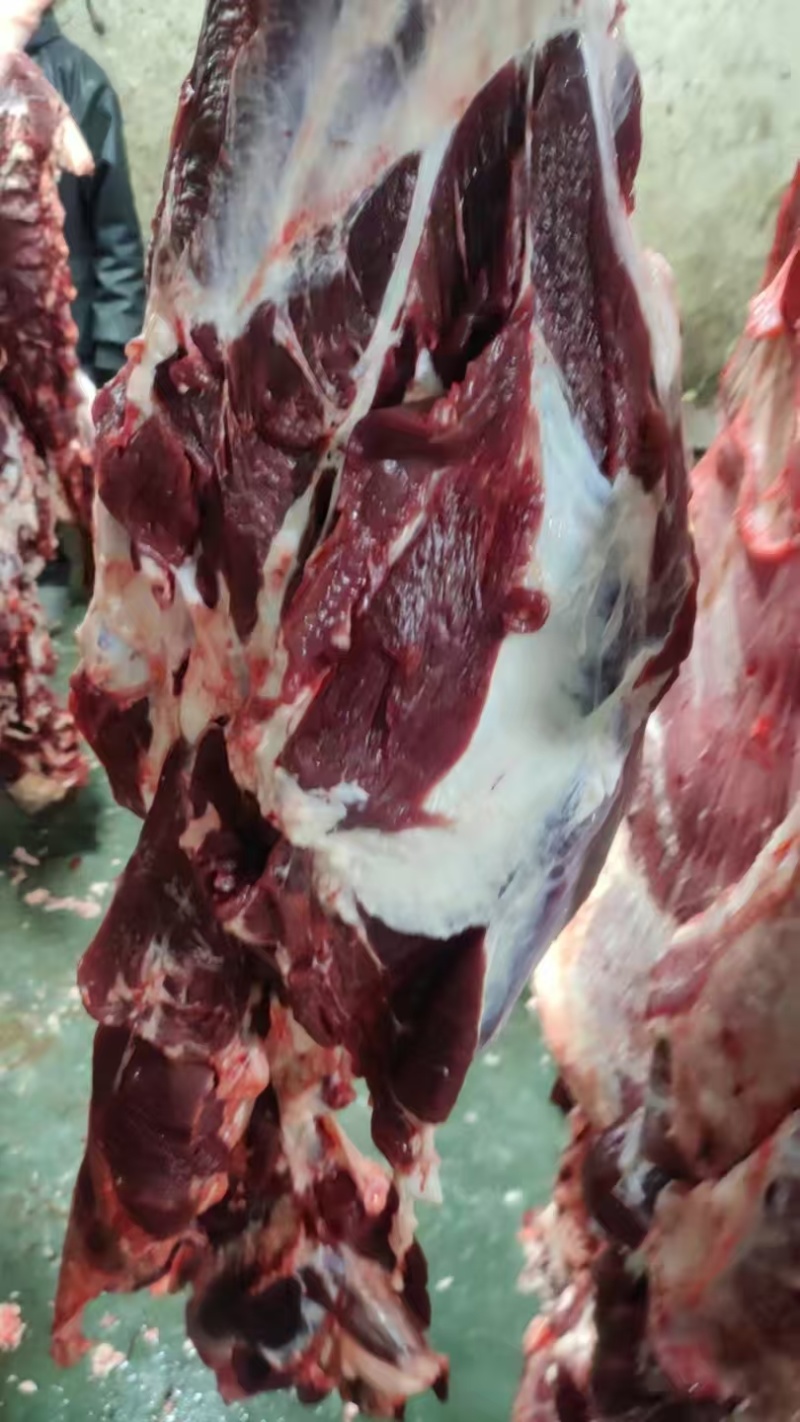纯干精品黄牛肉，一手货源，品质保证，量大从优，可视频看货