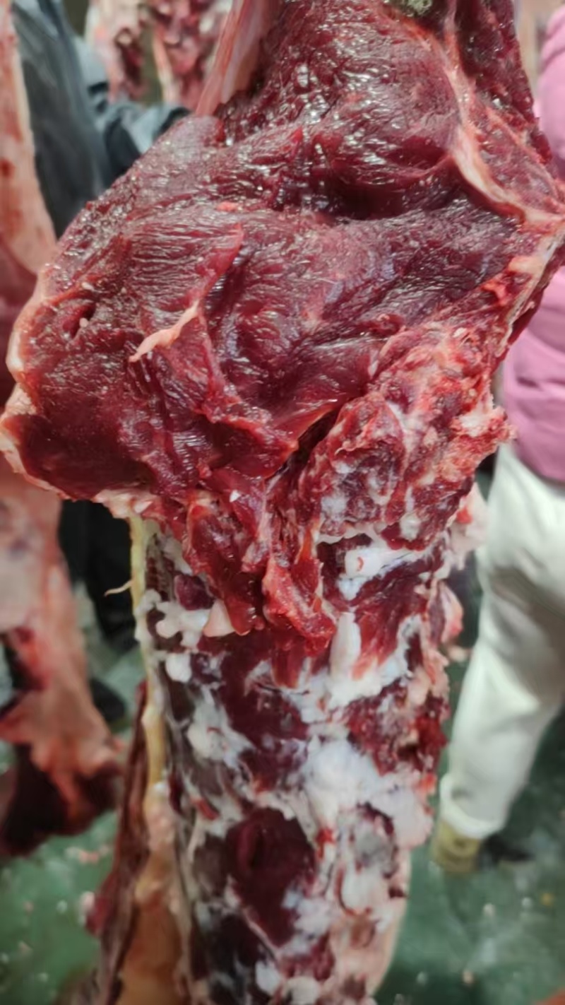 纯干精品黄牛肉，一手货源，品质保证，量大从优，可视频看货