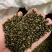 正宗广西鸡骨草种子保质保量专业发货诚信经营