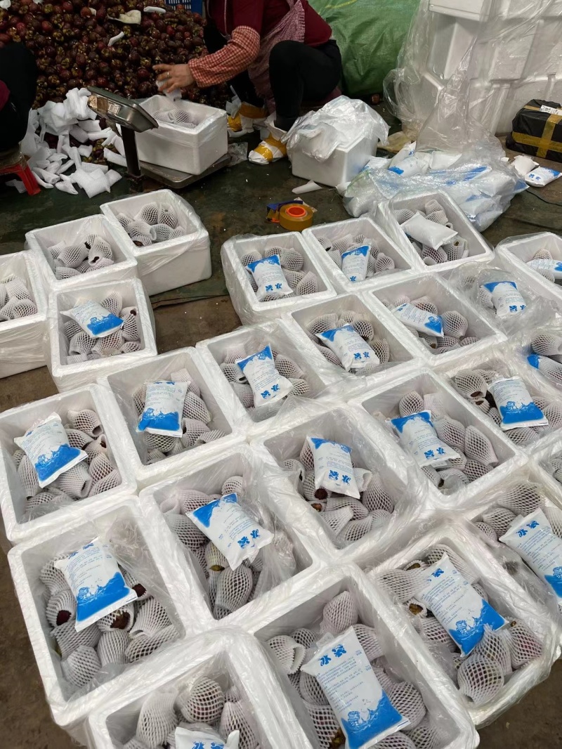 泰国山竹一件代发产地直发一手货源对接各大电商平台