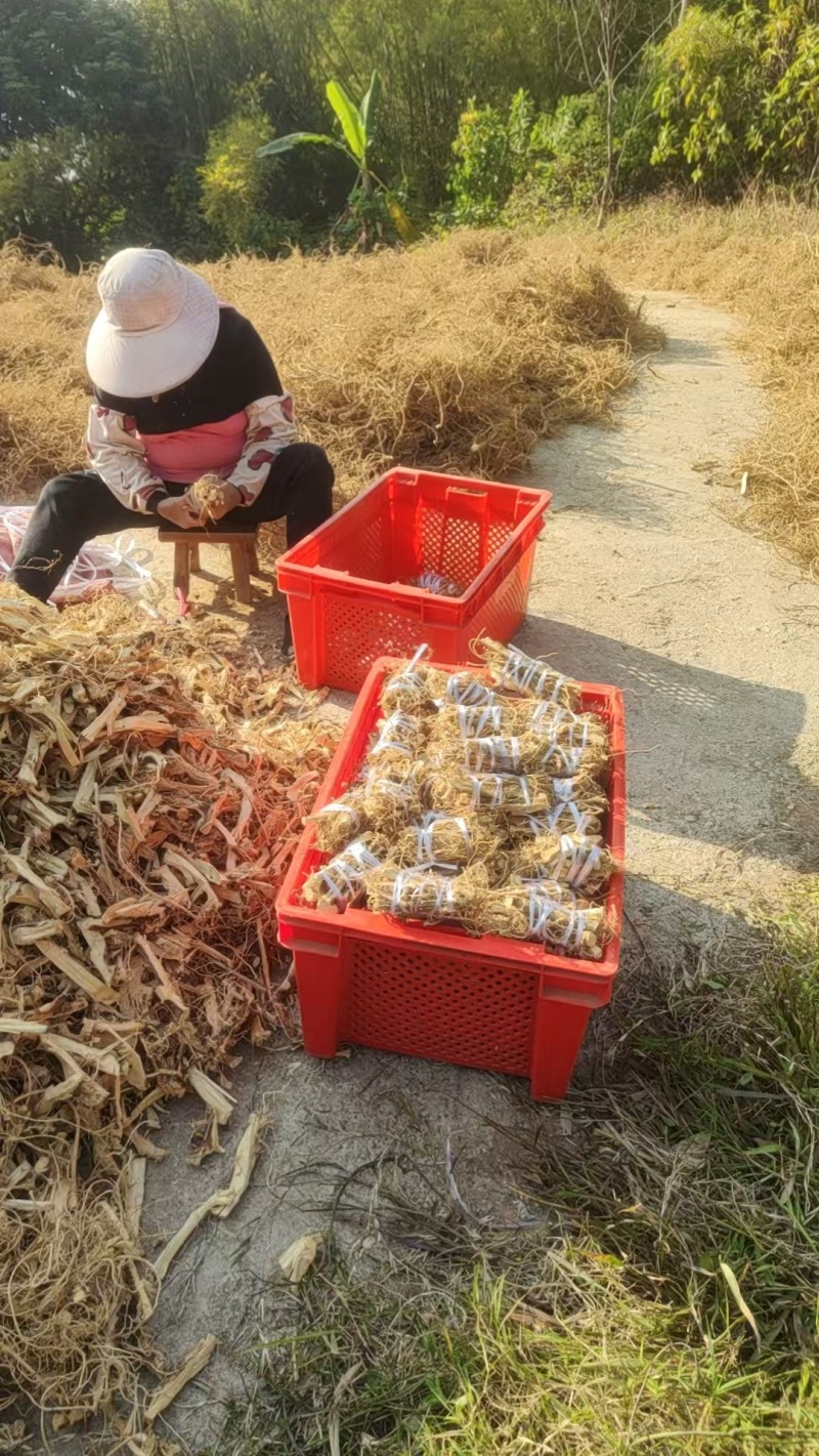 白花牛奶根白花牛奶根新货够老身够香够纯纯手工制作