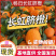 【长虹脐橙】湖北宜昌基地直供质量保证一手货源量大优惠