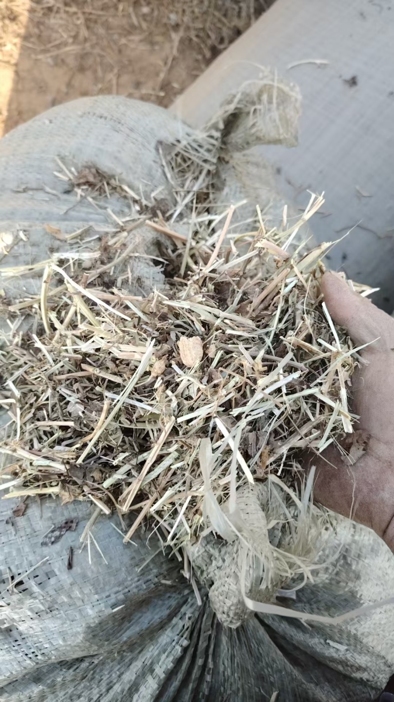 南阳牛羊牧草，精品牛羊草，欢迎各位老板前来选购
