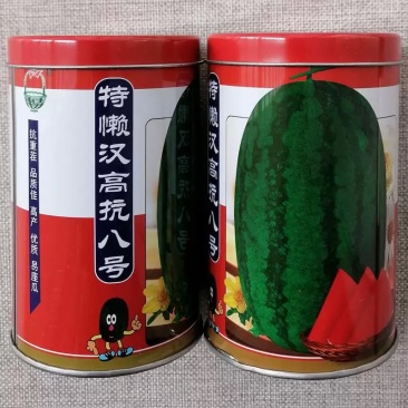 懒汉高抗八号西瓜种子抗重茬瓤色大红大果型品种