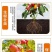 黄腐酸钾液体肥生根肥水溶肥冲施肥蔬菜果树专用