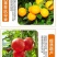 黄腐酸钾液体肥生根肥水溶肥冲施肥蔬菜果树专用