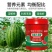 西瓜专用增甜膨果高钙高钾膨大营养有机冲施生根有机水溶肥料