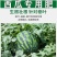 西瓜专用增甜膨果高钙高钾膨大营养有机冲施生根有机水溶肥料