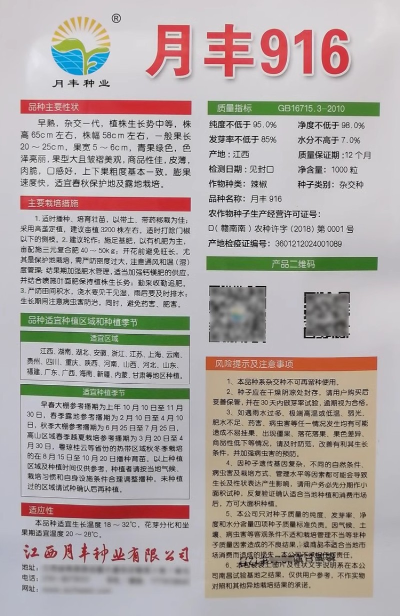 月丰916薄皮椒种子皱皮椒种子皮薄肉脆彭果速度快