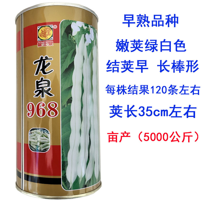 四季豆种子龙泉968架芸豆白不老九粒白高产抗病