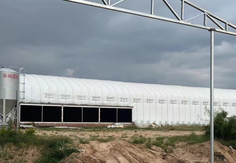 厦门连栋大棚温室大棚成套大棚设施
