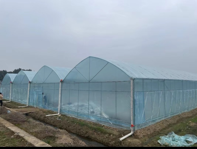 抚州连栋大棚温室大棚成套大棚设施