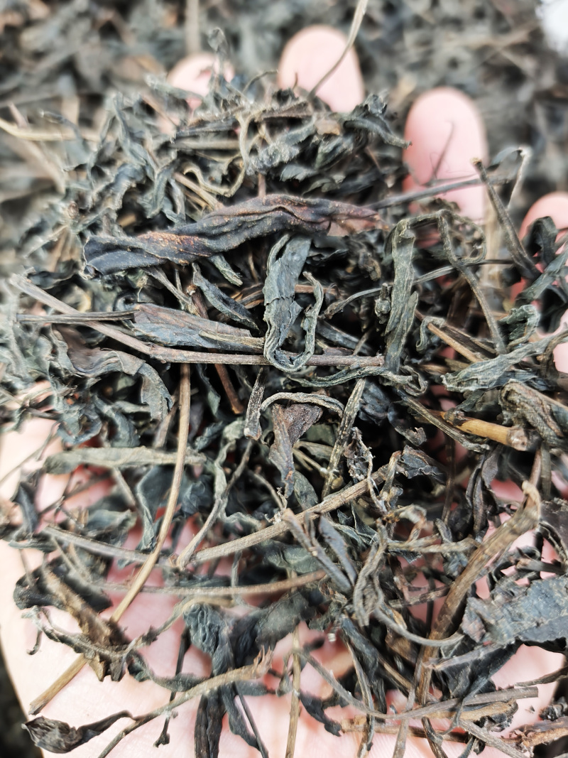 2006年传统工艺野生六堡茶*原产地原种茶原工艺