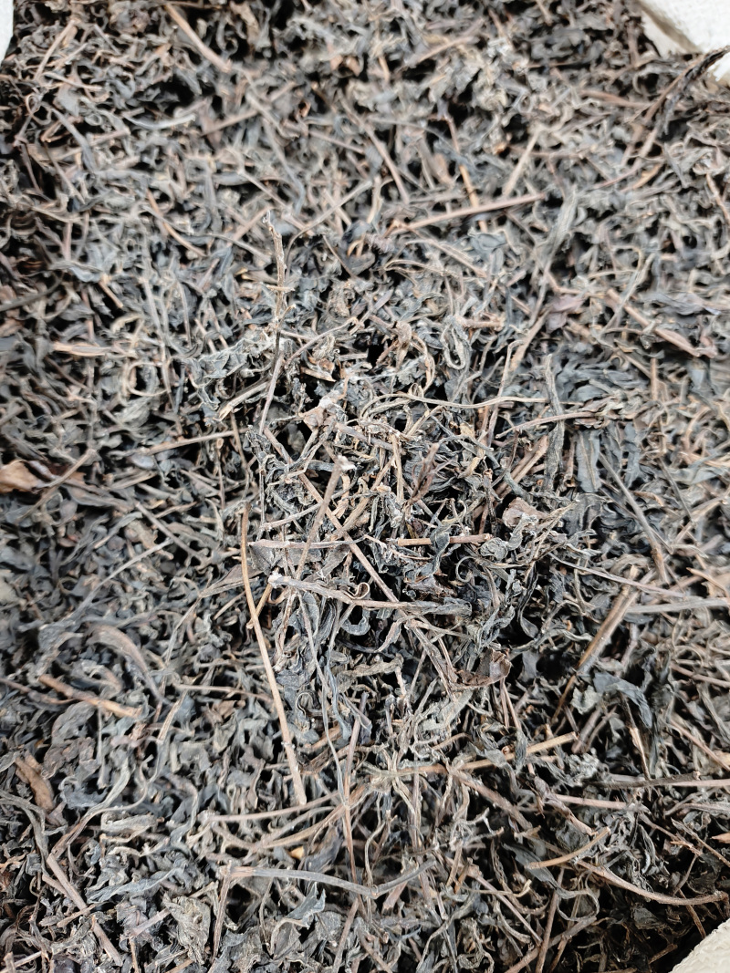 2006年传统工艺野生六堡茶*原产地原种茶原工艺
