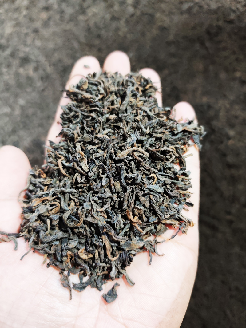2009年特级春芽茶*原产地原种茶*六堡镇茶厂直供
