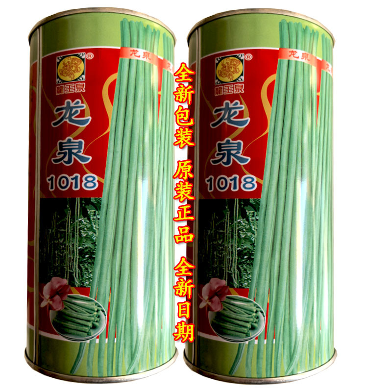 龙泉1018长豆角种子翠绿色产量高不易老化春秋种植