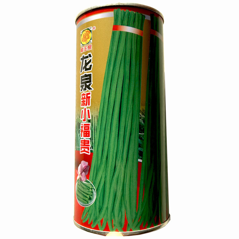 龙泉新小福贵豆角种子小叶豇豆种籽特长豇豆翠绿大棚保护地