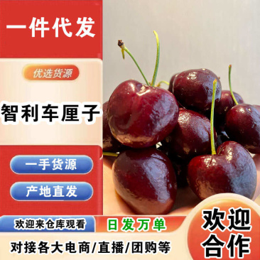 智利进口车厘子一件代发产地直发一手货源对接各大电商平台