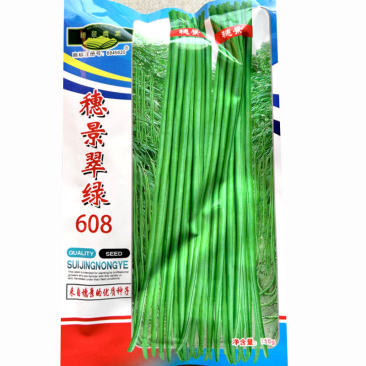 豇豆种子惠景翠绿608荚条顺直不易老化双荚率高基地种