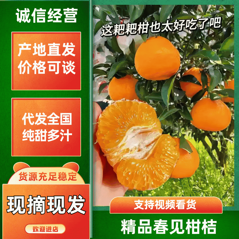 四川浦江春见耙耙柑大量上市诚信经营全国代发欢迎咨询