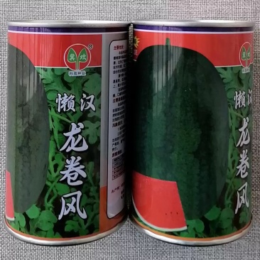 懒汉龙卷风西瓜种子高抗枯萎病大红瓤甜度高