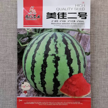 美佳二号西瓜种子耐裂抗病大红瓤肉质脆