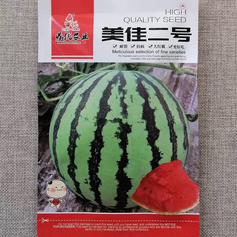 美佳二号西瓜种子耐裂抗病大红瓤肉质脆