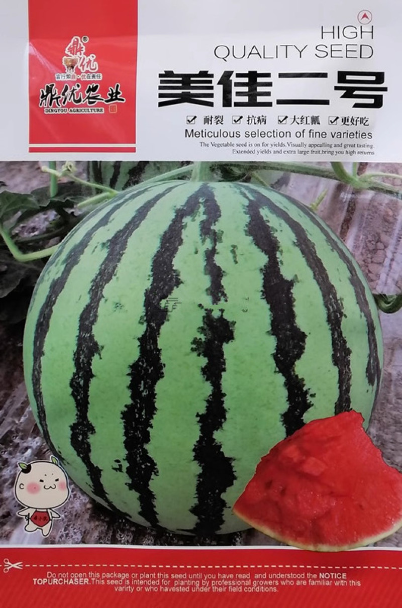 美佳二号西瓜种子耐裂抗病大红瓤肉质脆