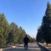 刘磊的一亩田店铺