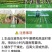 黑金氮螯合液体氮肥茶叶果树玉米小麦水稻蔬菜有机水溶肥料氮