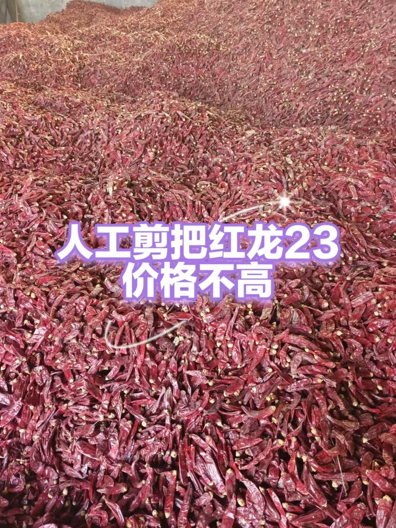红龙23干辣椒常年加工可全国发货可定制
