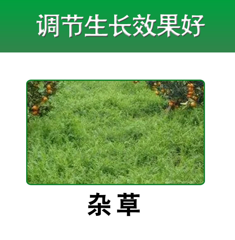 天津华宇万焰20%敌草快二氯盐正品杂草专用强效水稻催枯
