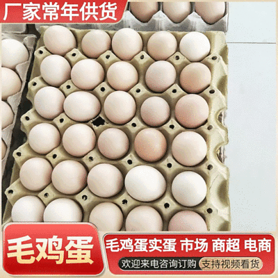 《毛鸡蛋实蛋》品质保证厂家直发对接全国可常年供应