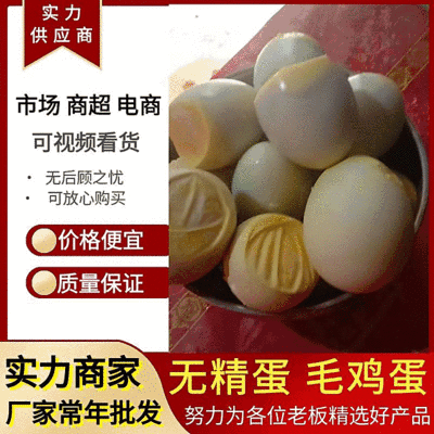 无精蛋毛鸡蛋厂家直发常年供应量大可优惠，常年供应