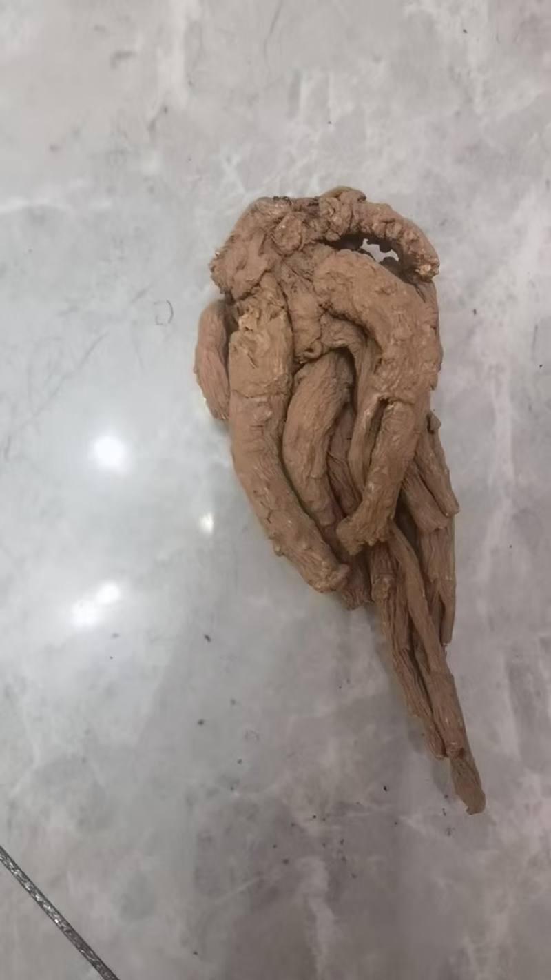 无硫新货大当归品质好产地发货精选特大条量大优惠