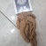 无硫新货大当归品质好产地发货精选特大条量大优惠