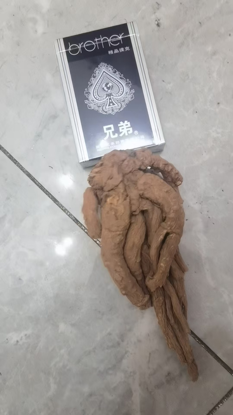 无硫新货大当归品质好产地发货精选特大条量大优惠