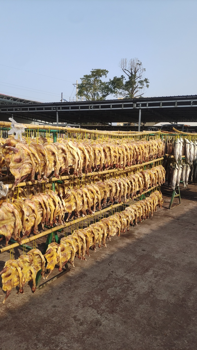 十里风干鱼湖北荆门风干鱼十里铺工厂直发18.5元/斤