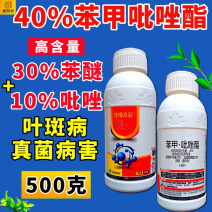 40%苯甲吡唑酯高含量叶斑病炭疽病斑点病害广谱杀菌