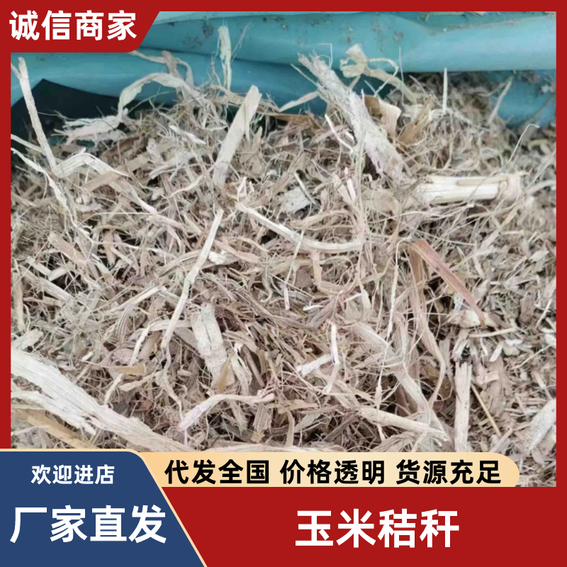 【优选】干玉米秸秆草料，河北灵寿大量现货供应，欢迎来电订购