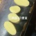 河北土豆V7土豆（大量现货）现挖现发可视频看货对接全国