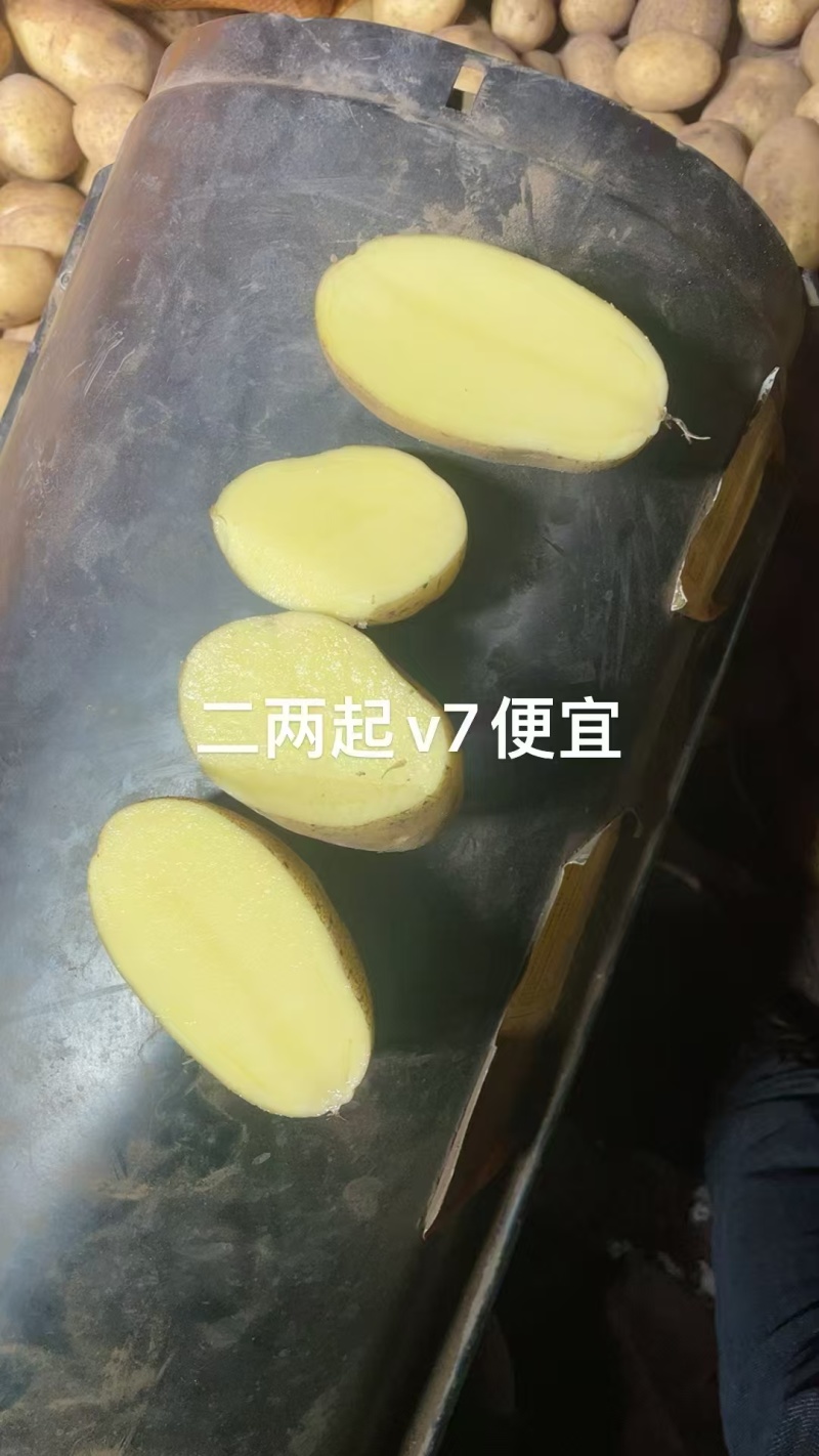 河北土豆V7土豆（大量现货）现挖现发可视频看货对接全国