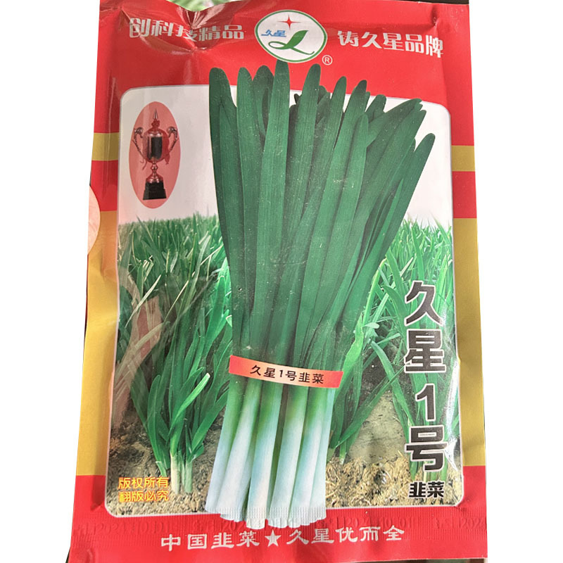 久星1号韭菜种子叶宽直立抗病抗寒休眠基地专用品种