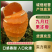 爱媛果冻橙九月红果冻橙对应电商社区团购商超各大市场