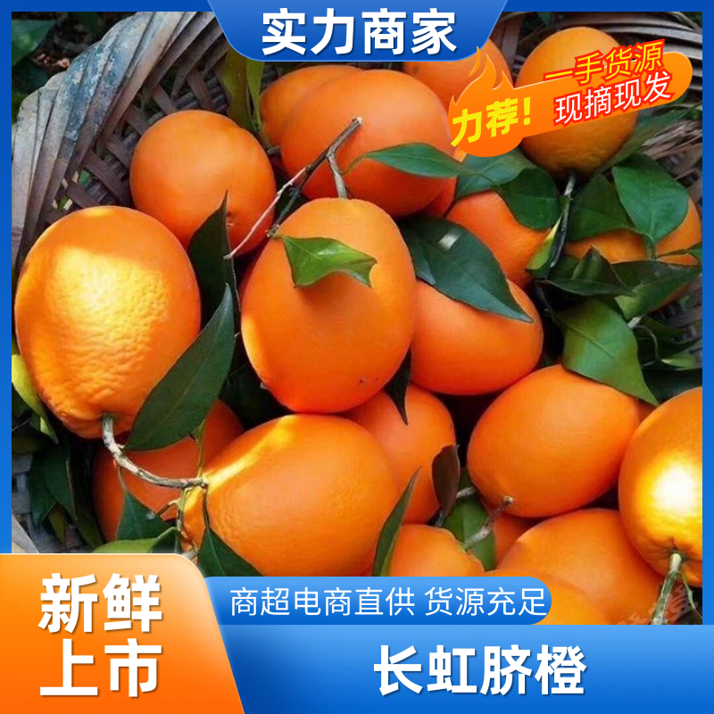 橙子秭归长虹纽荷尔一手货源皮薄汁多，现采现发