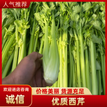西芹包水洗包上车打捆10-35斤产地一手货源一条龙服务