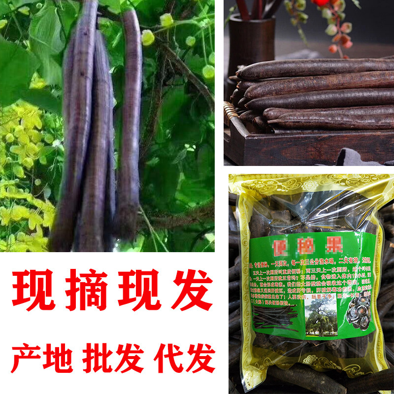 缅甸大解果奇异果腊肠果奇异果选货散装选货牛角树