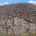 四川风干优质牛粪，有机干牛粪，纯干无水分，对接种植基地农户
