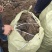 四川风干优质牛粪，有机干牛粪，纯干无水分，对接种植基地农户