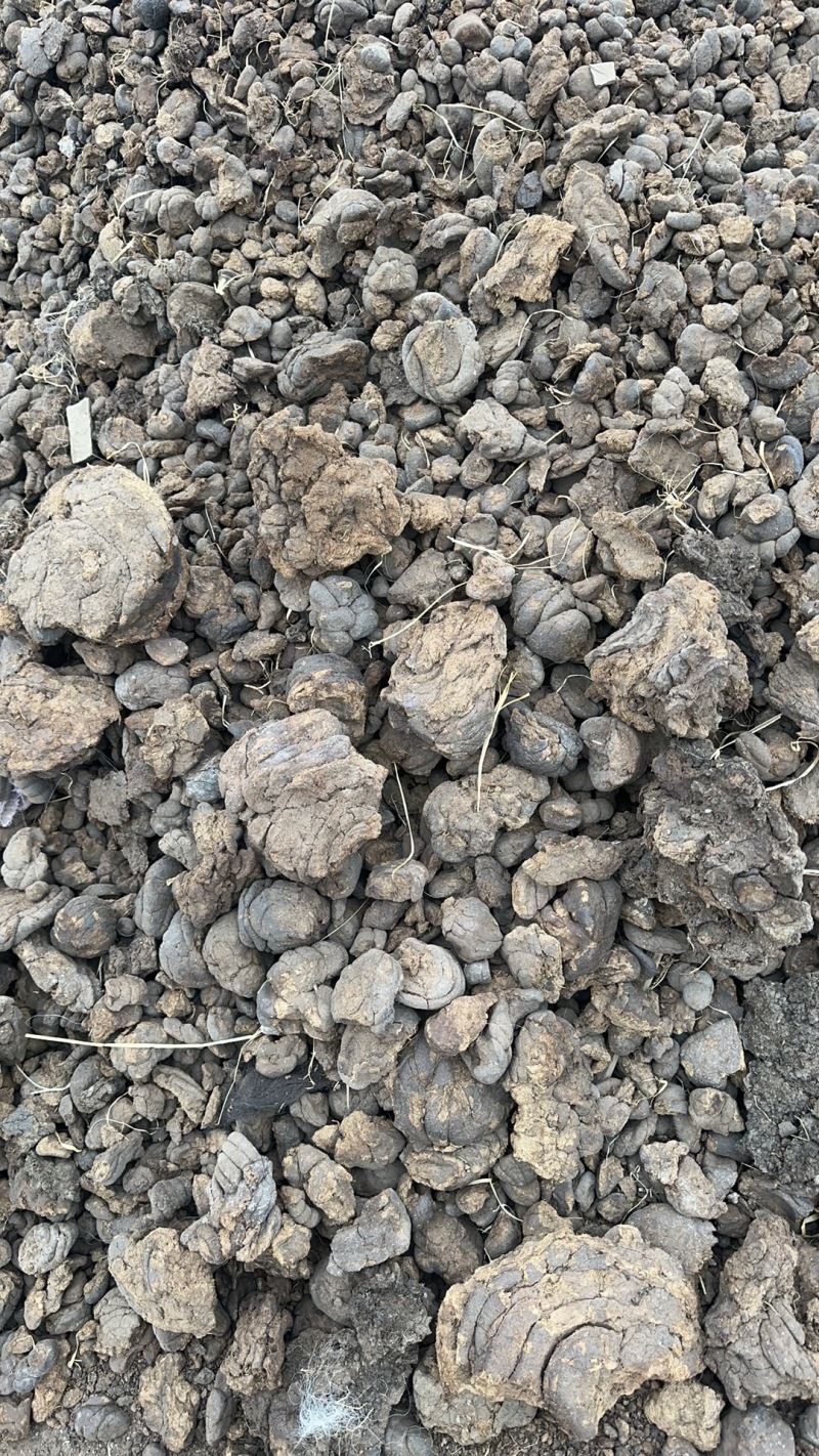 四川风干优质牛粪，有机干牛粪，纯干无水分，对接种植基地农户